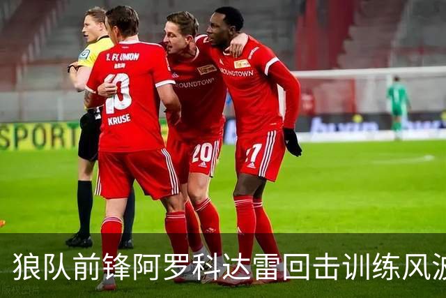 狼队前锋阿罗科达雷回击训练风波，称自己守职业标准